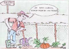 Ludaja